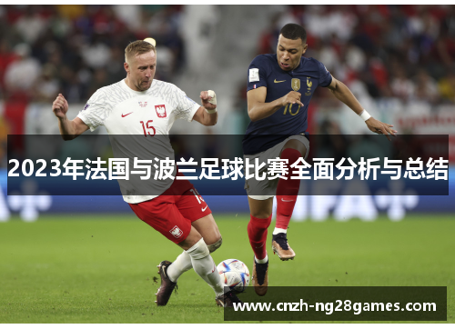 2023年法国与波兰足球比赛全面分析与总结