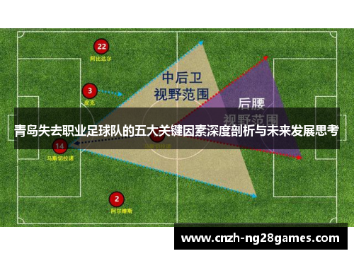 青岛失去职业足球队的五大关键因素深度剖析与未来发展思考