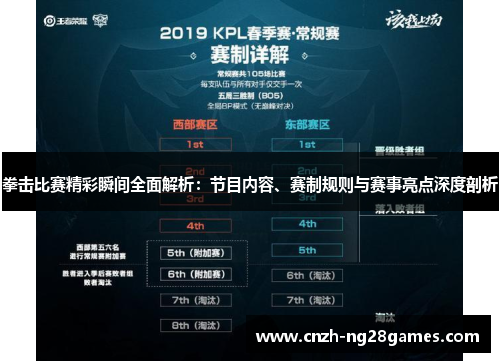 拳击比赛精彩瞬间全面解析：节目内容、赛制规则与赛事亮点深度剖析